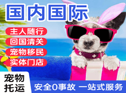 乌鲁木齐机场托运国际宠物托运 【国